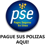 Logo PSE - Dirige a PSE